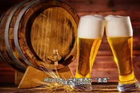 啤酒（Beer）视频封面