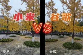 小米10安装谷歌相机，能提升像素吗？都说谷歌算法强，结果打脸了视频封面