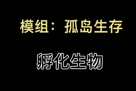 我的世界孤岛生存如何孵化鸡？