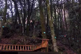 十堰竹溪楠木寨风景区视频封面