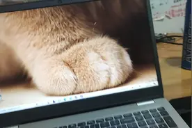 steam ：csgo的下载方法