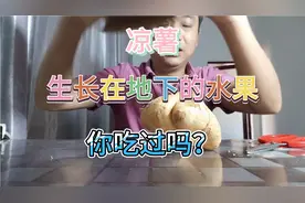 凉薯唯一生长在地下的水果，你吃过吗？视频封面