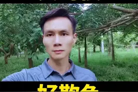 今天是我们一起努力学习中文字幕翻译过来就是为了完成使命召唤现视频封面