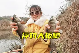 从小杂鱼中钓大板鲫，小伙这招离底钓法绝了，媳妇都抢着钓视频封面