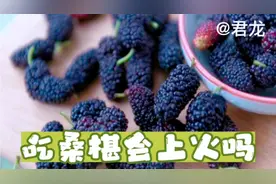 吃桑椹干会上火吗视频封面