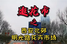 春暖中国，西安北郊最大的花卉市场，品种繁多，停车方便视频封面