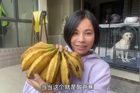 酸的芭蕉吃过没有，海南传统老品种板蕉的味道酸甜开胃一吃难忘视频封面
