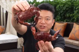 市场惊现有毒螃蟹