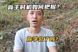 养蜂技术分享，把握正确的育王时机，才是蜂群强旺的关键所在视频封面