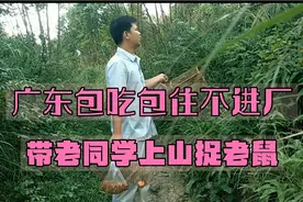 带老同学上山捉老鼠，不去广东进厂包吃包住，一起捉老鼠视频封面
