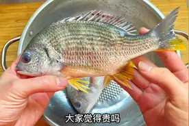 学习“马友师傅”做煎封黄脚立鱼，外脆里嫩，还有煎鱼不粘锅技巧