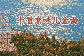 十首京味儿金曲 一声入耳 荡气回肠 京腔京韵 百听不厌的金曲