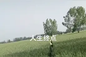 人生最后一顿饭视频封面