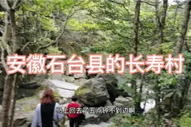 安徽深山老林据说有个长寿村，跟着我去看看吧。视频封面
