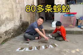 西娃子昨晚抓八十多条蜈蚣卖了200元，高兴得买零食，吃猪脚泡面