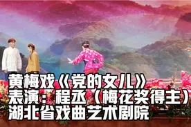 第九届中国（安庆）黄梅戏艺术节闭幕式精彩分享之《党的女儿》。视频封面