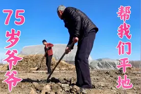 占用基本农田盖牛圈？不存在的，双双带你看东北农村的院子有多大视频封面