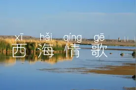 这是流传在西海的一个爱情故事，瑛与勇儿一同报名参加了环保志愿视频封面