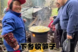 四川大山竹笋深受大家喜爱，600斤竹笋2天就出完，这笋子你吃过没视频封面