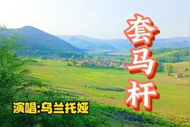 蒙古族姑娘乌兰托娅演唱《套马杆》给我一片蓝天，一轮初升的太阳视频封面