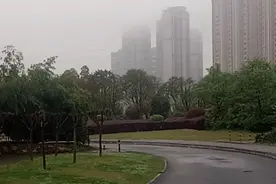 归来不识家何在？！感受武汉江岸区后湖的巨变！！视频封面