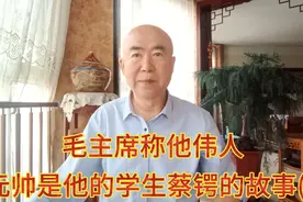 民国风云人物，传奇将军一一蔡锷的故事(6视频封面