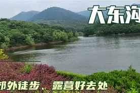 离大连市内不足10公里的露营地推荐，适合野餐、徒步、采摘樱桃！视频封面