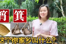 广东广西筲箕、粪箕、畚箕、簸箕有什么区别？能不能3秒分清视频封面