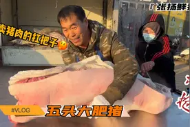 农村大集五头大肥猪，张扬卖猪肉届扛把子，出摊就开抢全大茬过瘾视频封面
