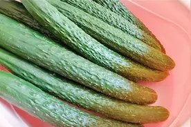 保存黄瓜，我家从不放冰箱，奶奶用了60年的方法，放的越久越好吃视频封面