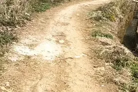 我们去捉卖脚婆视频封面