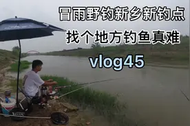 野钓新乡新钓点，为了钓个鱼也是拼了