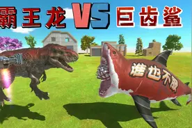 霸王龙VS巨齿鲨，动物战争模拟。视频封面