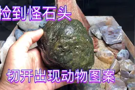村民捡到怪石头，切开出现动物图案，这图案太像了吧视频封面