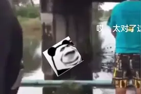 至尊宝:别录了别录至尊了#搞笑配音 #搞笑视频配音 #