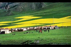 混世小刁民视频封面