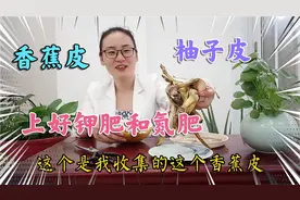 收集果皮自制富含钾肥氮肥的有机腐殖土，方法简单又环保还不花钱视频封面