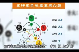 十干十二支五行五肺六脏