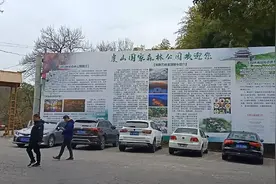 三峯清凉禅寺(一) 寺前有两棵树龄二百多年的楸树。视频封面