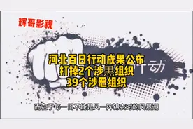 河北百日行动成果公布
打掉2个涉黒组织
39个涉恶组织