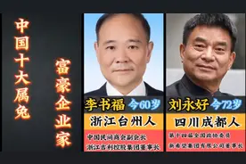 中国十大属兔富豪企业家视频封面