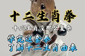 古代一个时辰是现代两个小时，十二生肖对应十二时辰，刚好24小时视频封面