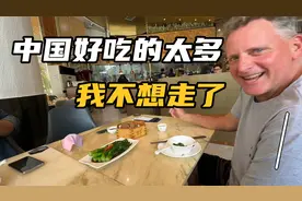 这个美国仁才来中国两天就不想回去了视频封面