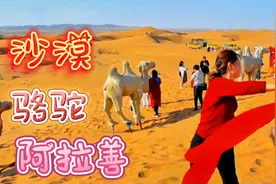 阿拉善沙漠是阿拉善盟境内三大沙漠，位于中北部的银额盆地底部-视频封面