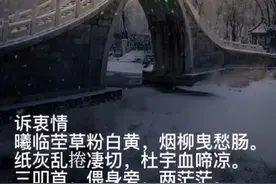 诉衷情—怀念亲爱的妈妈图片