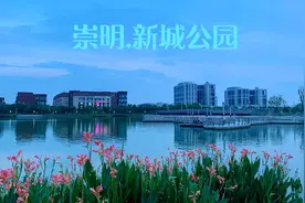 带大家看看崇明岛上，散步景点网红打卡点之一，新城公园夜景!视频封面