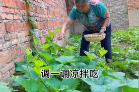 奶奶说多吃南瓜头 可以减肥视频封面