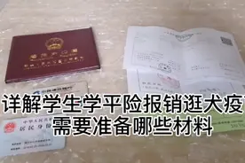 学生学平险报销狂犬疫苗需要准备哪些材料视频封面