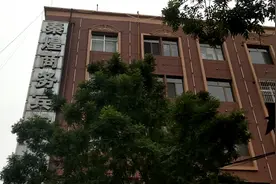 燕子群聚盘旋在一个地方 是有什么事情发生吗视频封面