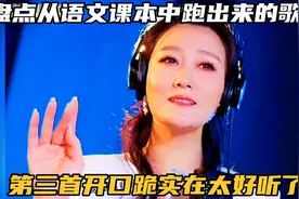 盘点从语文课本跑出来的歌曲，第三首真的是开口跪，实在太好听了